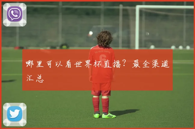 哪里可以看世界杯直播？最全渠道汇总