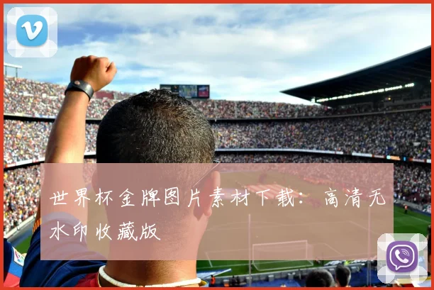 世界杯金牌图片素材下载：高清无水印收藏版