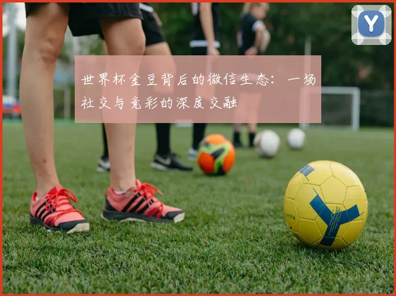 世界杯金豆背后的微信生态：一场社交与竞彩的深度交融