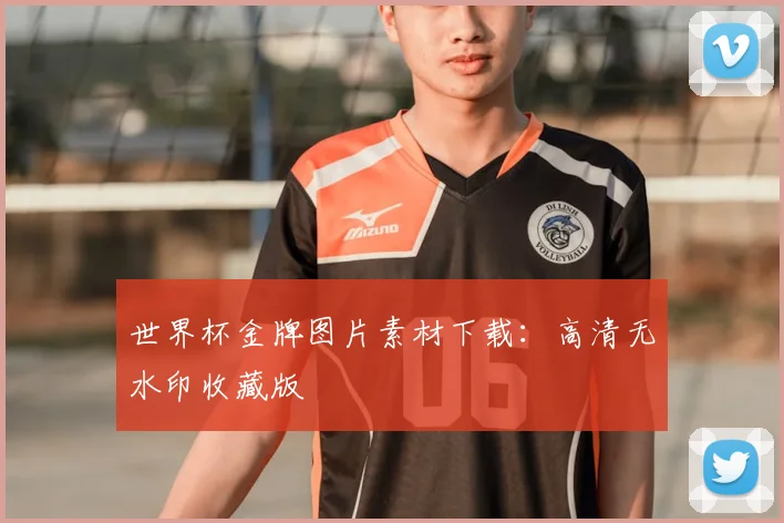世界杯金牌图片素材下载：高清无水印收藏版