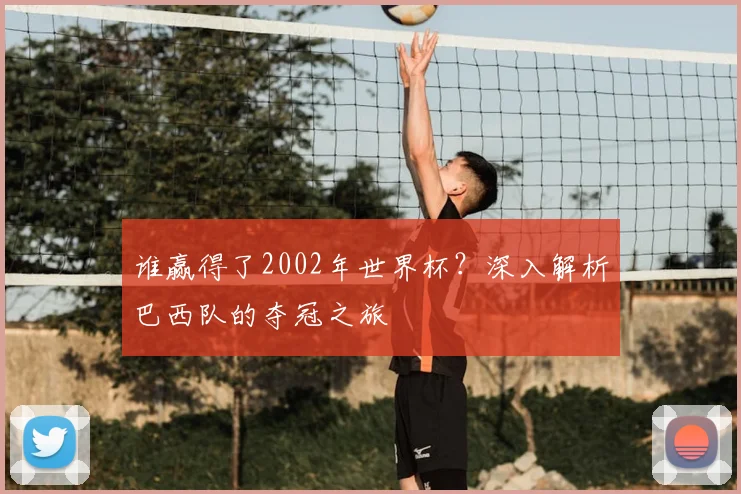 谁赢得了2002年世界杯？深入解析巴西队的夺冠之旅